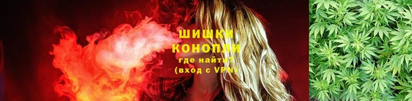 шишки Алзамай