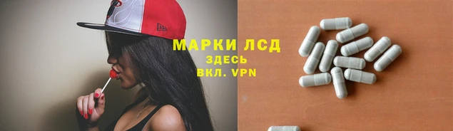 индика Абаза