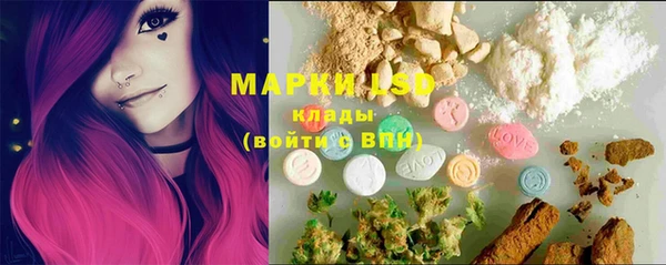 шишки Алзамай